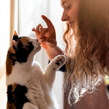 Capsuline PetCaps Capsules vides de gélatine aromatisées au poulet, taille 3, 100 unités - 100