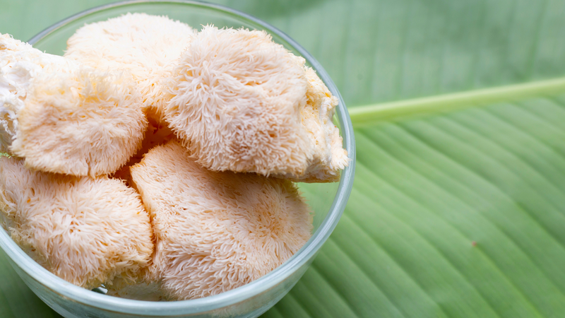 Lion's Mane Mushroom: A Superfood for Your Brain and Body