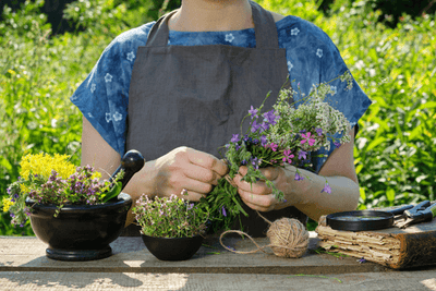 5 plantas y hierbas medicinales más poderosas para mejorar su salud