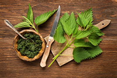 Benefits of Nettle