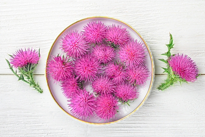 Benefits of Milk Thistle