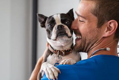 9 consejos para ayudar a sus mascotas a medicar más fácilmente