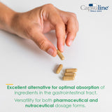 Capsules végétariennes à libération retardée de taille 0 transparentes par Capsuline