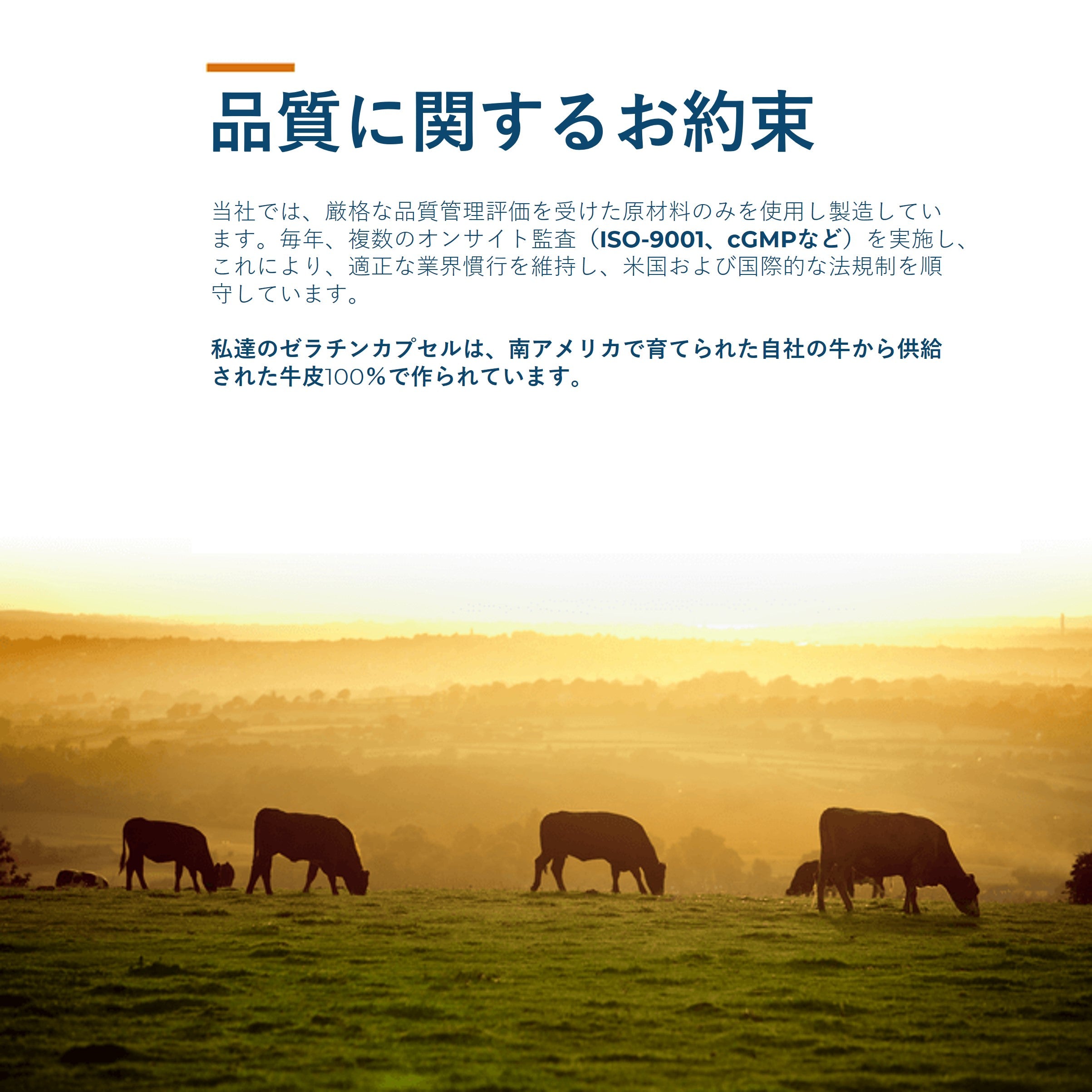 Capsules de gélatine vides de taille 000 transparentes par Capsuline - 500 unités - 500