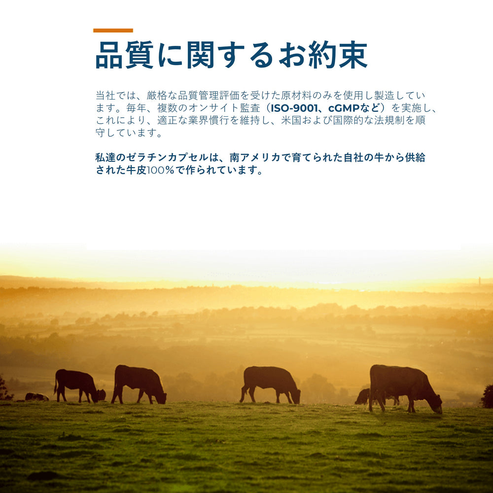 Capsules de gélatine vides de taille 000 transparentes par Capsuline - 500 unités - 500