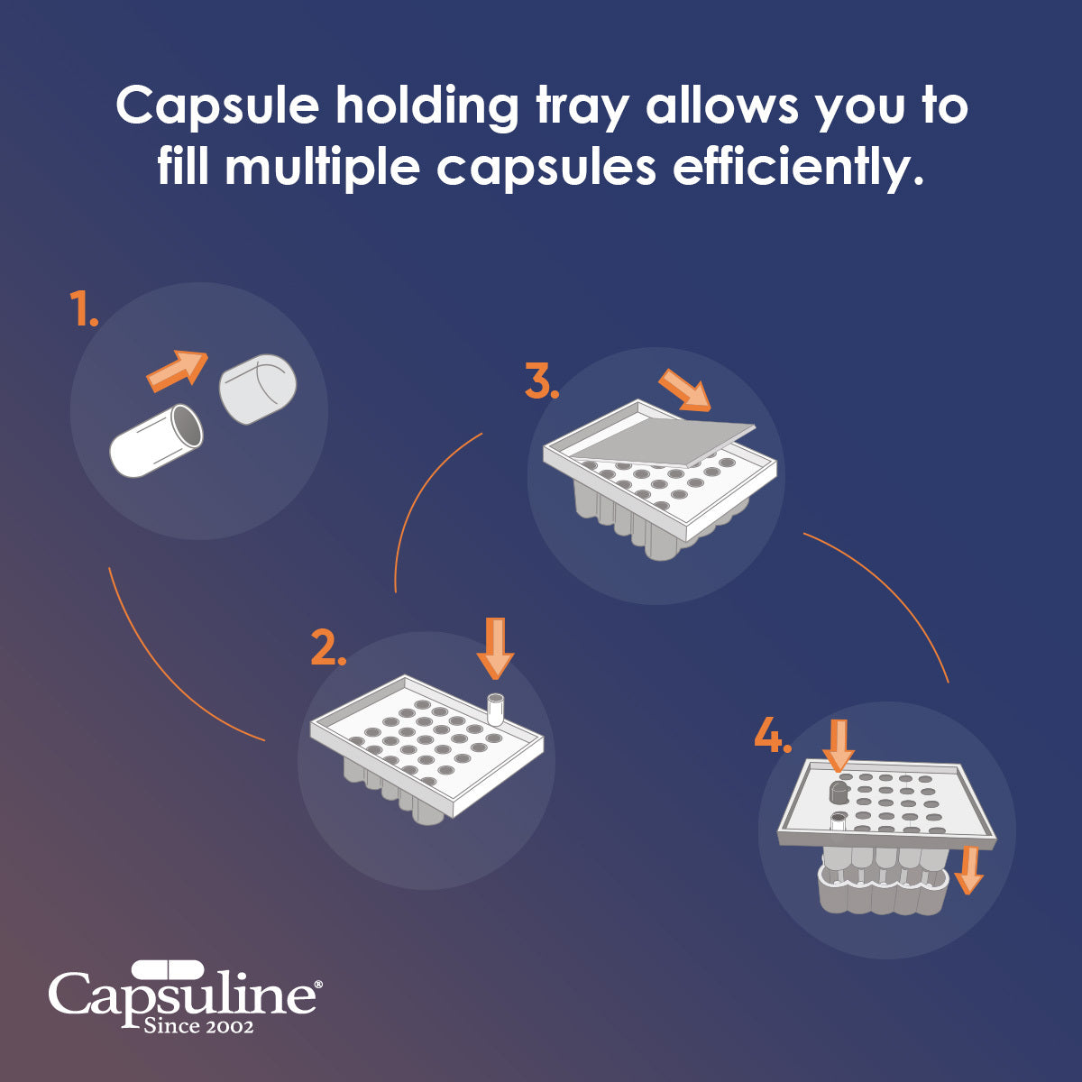 Capsules de gélatine vides de taille 00 transparentes par Capsuline - 1000 pièces + plateau de maintien taille 00 pour 25 capsules